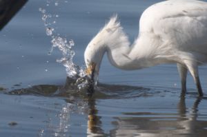 Tokina500mm_35-300x199.jpg